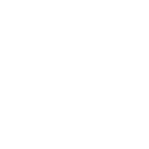 Apex Motor Sports